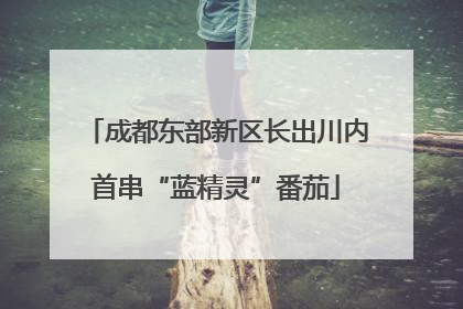 成都东部新区长出川内首串“蓝精灵”番茄