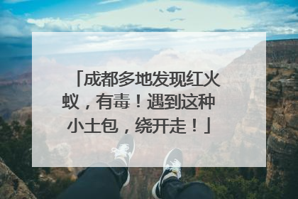 成都多地发现红火蚁，有毒！遇到这种小土包，绕开走！