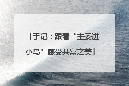 手记：跟着“主委进小岛”感受共富之美