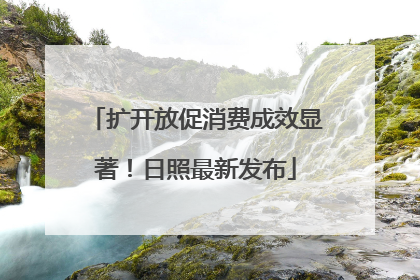 扩开放促消费成效显著！日照最新发布