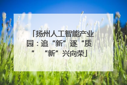 扬州人工智能产业园：追“新”逐“质” “新”兴向荣