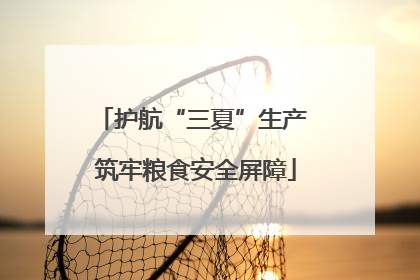护航“三夏”生产 筑牢粮食安全屏障
