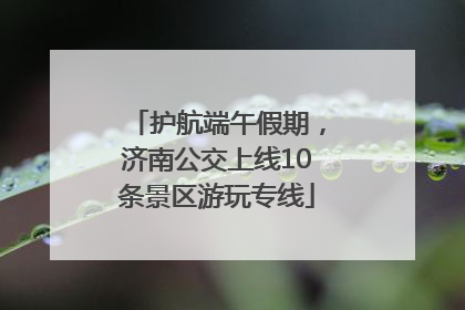 护航端午假期，济南公交上线10条景区游玩专线