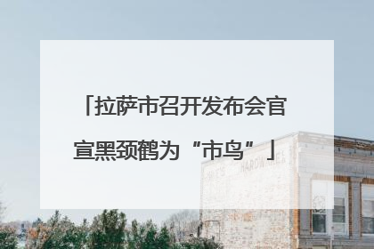 拉萨市召开发布会官宣黑颈鹤为“市鸟”