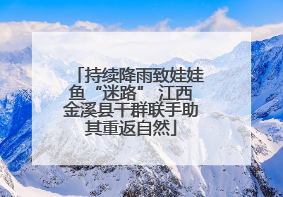 持续降雨致娃娃鱼“迷路” 江西金溪县干群联手助其重返自然