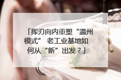 挥刃向内重塑“温州模式” 老工业基地如何从“新”出发？
