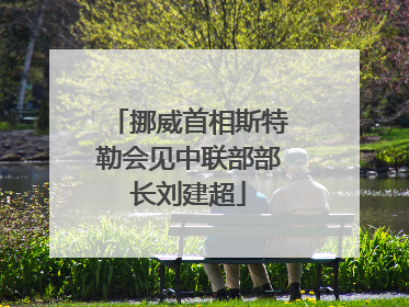 挪威首相斯特勒会见中联部部长刘建超