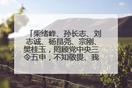 柴绪峰、孙长志、刘志诚、杨昆尧、宗刚、樊桂玉，罔顾党中央三令五申，不知敬畏、我行我素、肆意妄为！