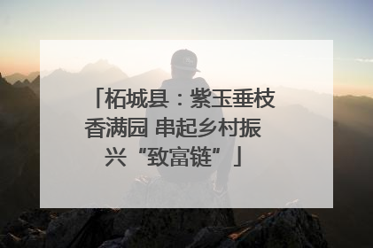 柘城县：紫玉垂枝香满园 串起乡村振兴“致富链”