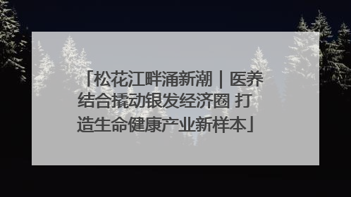 松花江畔涌新潮｜医养结合撬动银发经济圈 打造生命健康产业新样本