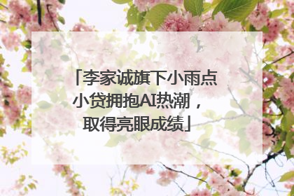 李家诚旗下小雨点小贷拥抱AI热潮，取得亮眼成绩
