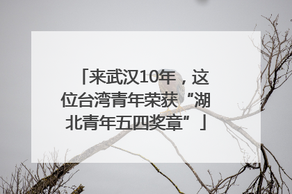 来武汉10年，这位台湾青年荣获“湖北青年五四奖章”