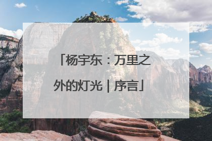 杨宇东：万里之外的灯光｜序言