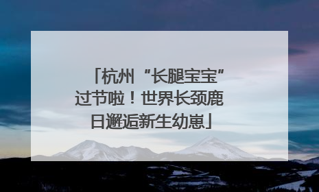 杭州“长腿宝宝”过节啦！世界长颈鹿日邂逅新生幼崽