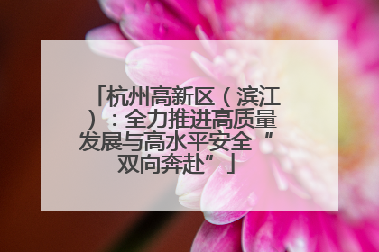 杭州高新区（滨江）：全力推进高质量发展与高水平安全“双向奔赴”