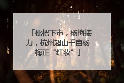 枇杷下市，杨梅接力，杭州超山千亩杨梅正“红妆”