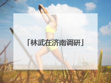 林武在济南调研