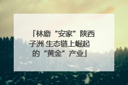 林麝“安家”陕西子洲 生态链上崛起的“黄金”产业