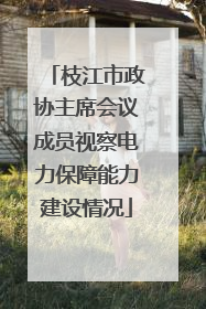 枝江市政协主席会议成员视察电力保障能力建设情况