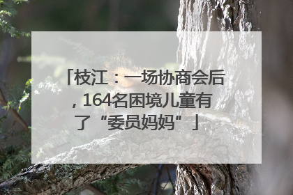 枝江：一场协商会后，164名困境儿童有了“委员妈妈”