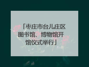 枣庄市台儿庄区图书馆、博物馆开馆仪式举行