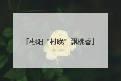 枣阳“村晚”飘桃香