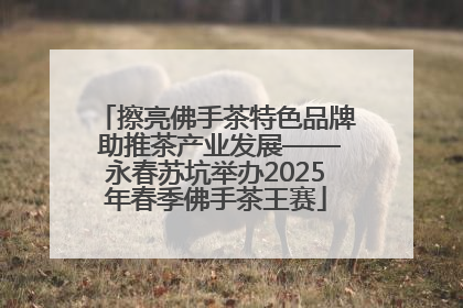 擦亮佛手茶特色品牌 助推茶产业发展——永春苏坑举办2025年春季佛手茶王赛