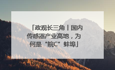 政观长三角丨国内传感器产业高地，为何是“皖C”蚌埠