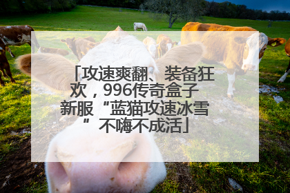 攻速爽翻、装备狂欢，996传奇盒子新服“蓝猫攻速冰雪”不嗨不成活