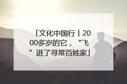 文化中国行丨2000多岁的它，“飞”进了寻常百姓家
