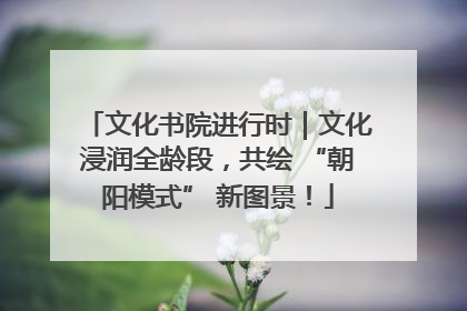 文化书院进行时｜文化浸润全龄段，共绘 “朝阳模式” 新图景！