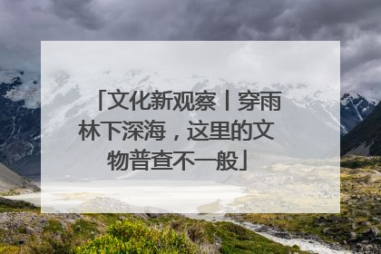 文化新观察丨穿雨林下深海，这里的文物普查不一般