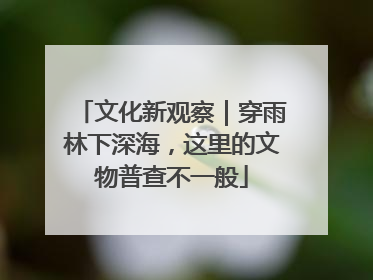 文化新观察｜穿雨林下深海，这里的文物普查不一般