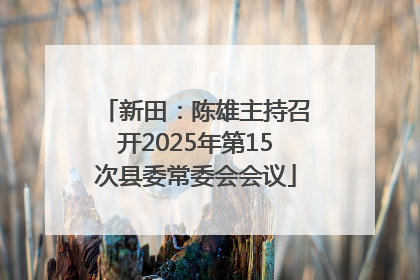 新田：陈雄主持召开2025年第15次县委常委会会议
