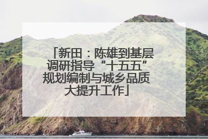 新田：陈雄到基层调研指导“十五五”规划编制与城乡品质大提升工作