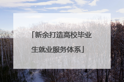 新余打造高校毕业生就业服务体系