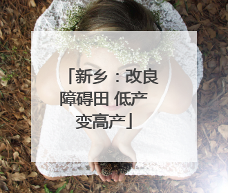 新乡：改良障碍田 低产变高产