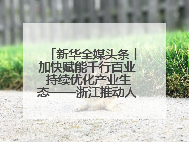 新华全媒头条丨加快赋能千行百业 持续优化产业生态——浙江推动人工智能健康有序发展观察