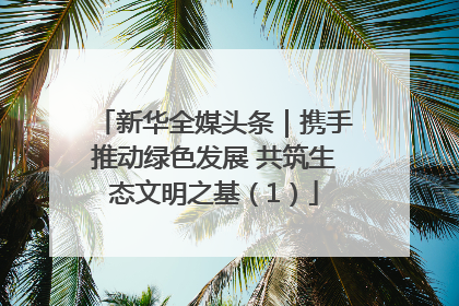 新华全媒头条｜携手推动绿色发展 共筑生态文明之基（1）