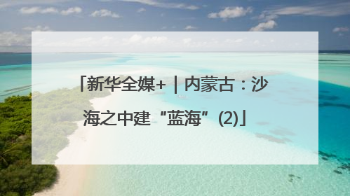 新华全媒+｜内蒙古：沙海之中建“蓝海”(2)