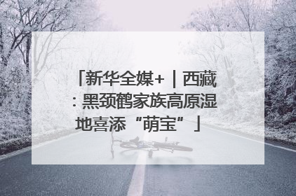 新华全媒+｜西藏：黑颈鹤家族高原湿地喜添“萌宝”