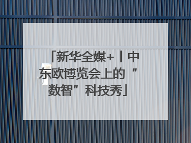 新华全媒+丨中东欧博览会上的“数智”科技秀