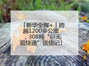 新华全媒+丨跨越1200多公里，308吨“巨无霸快递”送货记