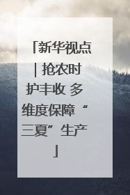 新华视点｜抢农时 护丰收 多维度保障“三夏”生产