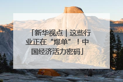 新华视点｜这些行业正在“爆单”！中国经济活力密码