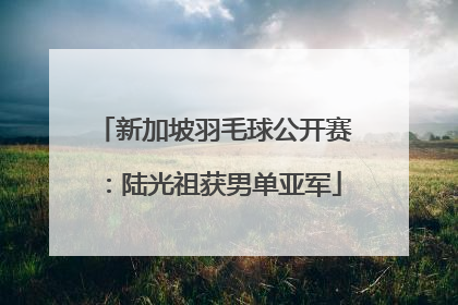 新加坡羽毛球公开赛：陆光祖获男单亚军