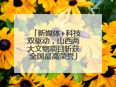 新媒体+科技双驱动，山西两大文物项目斩获全国最高荣誉