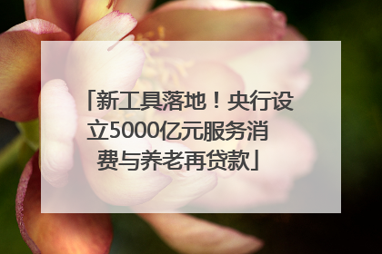 新工具落地！央行设立5000亿元服务消费与养老再贷款