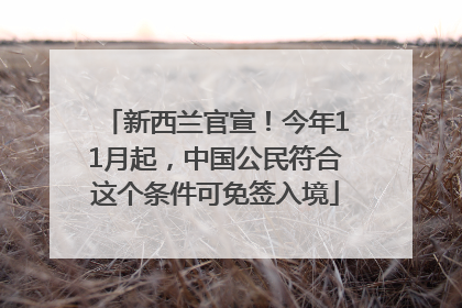 新西兰官宣！今年11月起，中国公民符合这个条件可免签入境