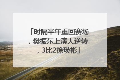 时隔半年重回赛场，樊振东上演大逆转，3比2徐瑛彬